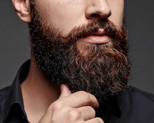 Professional Beard Color Service in Siruseri
